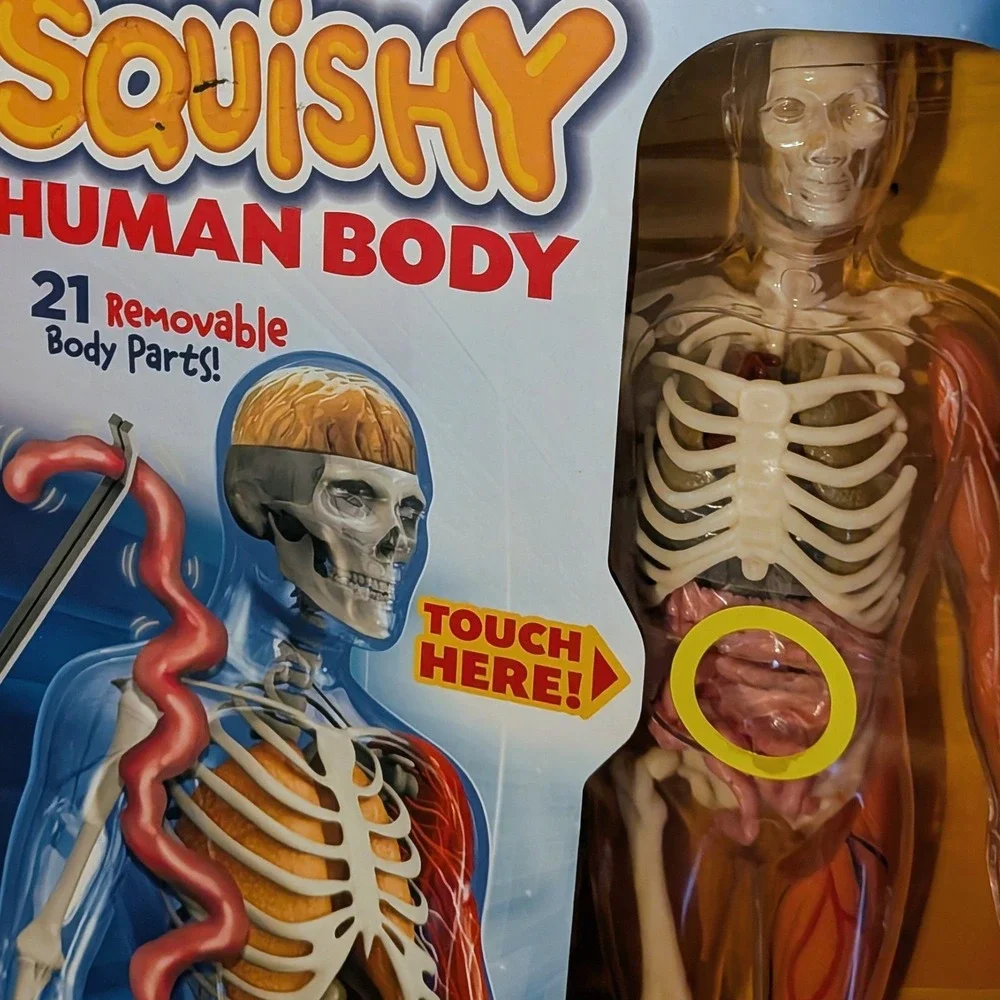 SmartLab Toys Squishy Human Body‎ 29 Piece Anatomy Model Kit with 24 Page Book